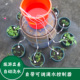自动浇花器浇水神器出差旅游外出懒人家用养花滴灌加水补水渗水器