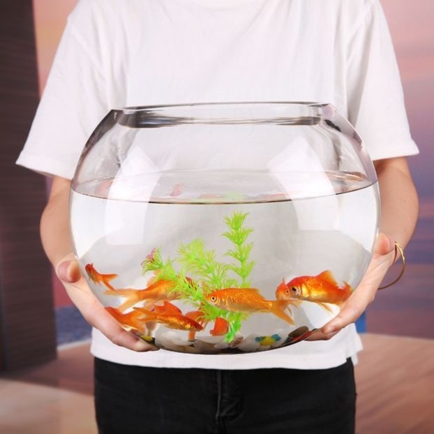 圆形鱼缸塑料一体成型高透防摔耐摔不坏仿玻璃客厅小型桌面生态缸