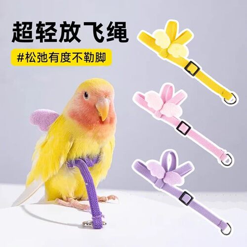 鹦鹉放飞绳不伤脚小鸟超轻牵引绳外出放飞遛鸟神器小太阳专用背带