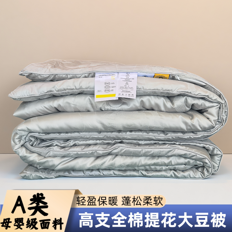特价款全棉大豆春秋被加厚冬被