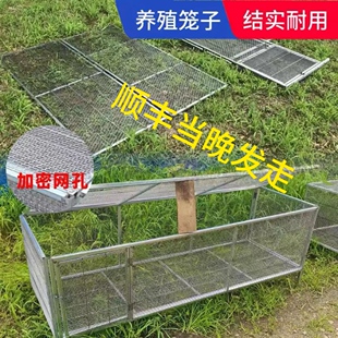 鸡笼防鼠鹅鸭兔鸽子防黄鼠狼特大号家用加密铁丝网加厚铁鹌鹑铁笼