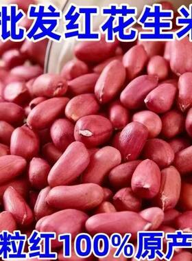【新货】红皮花生米去壳颗粒均匀红花生米补气血红衣花生批发阿胶