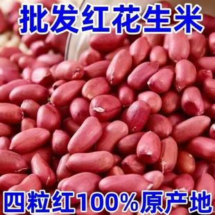 【新货】红皮花生米去壳颗粒均匀红花生米补气血红衣花生批发阿胶
