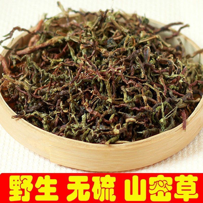 山蜜草广西夏季凉茶清桑润喉下火茶防暑茶养生茶山蜜草茶清热降火
