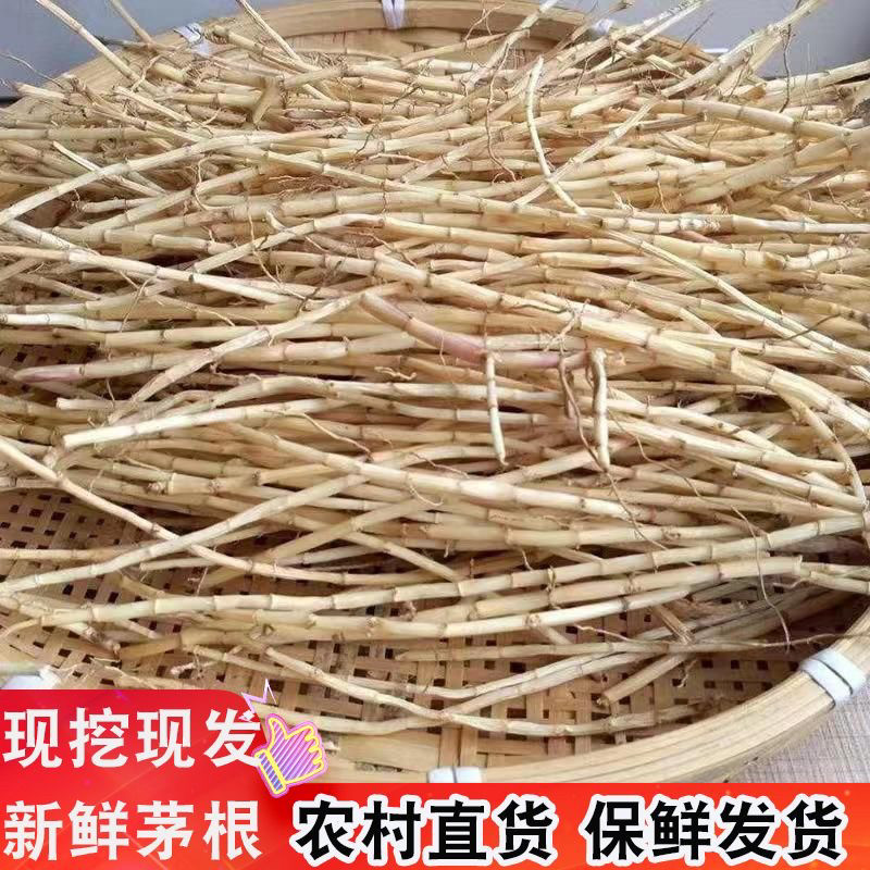 新鲜白茅根竹蔗葛根糖水去宝宝都能喝糖水材料夏季凉茶食材茅根