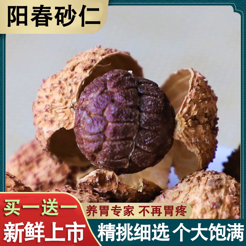 【家庭装一斤】正宗春砂仁500克阳春特产中药砂仁果煲汤泡酒养胃