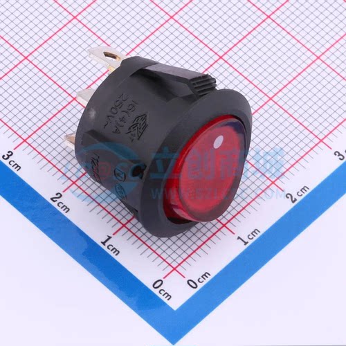 船型开关 SS11-RBDWT-RR23-L02-R 插件 21mm 15mm 原装正品