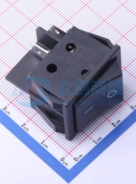 船型开关 RS606BE-2010002CBB 插件 32mm 25mm 20mm 原装正品