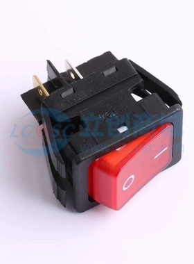 船型开关 C6053ALNAE - 原装正品