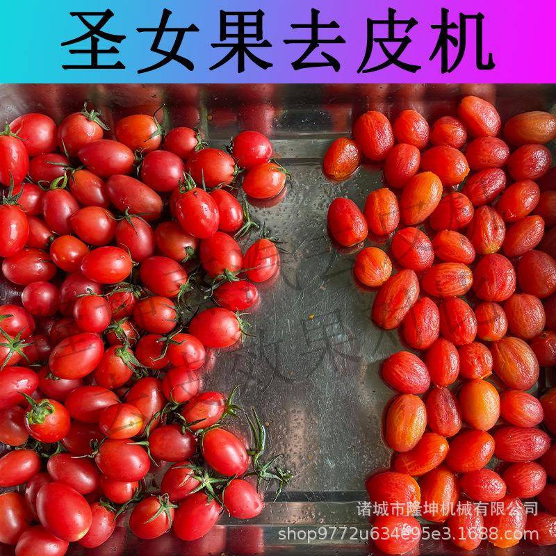 圣女果全自动蒸汽去皮机 西红柿脆柿子果蔬脱皮机 土豆红薯削皮机