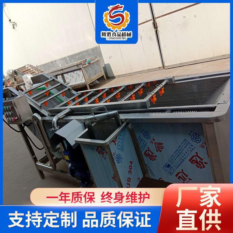 商用蒜薹循环式清洗机 番茄气泡清洗设备 不锈钢叶菜类蔬菜洗菜机