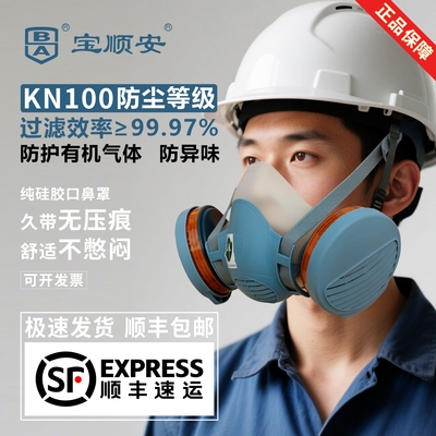 防有机气体异味KN100等级防粉尘