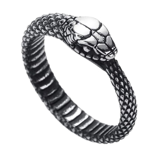 衔尾蛇戒指小众设计钛钢复古不掉色男女个性盘蛇指环嘻哈朋克饰品
