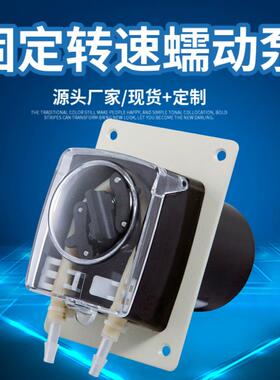 厂家固定转速TH15发酵补料微型蠕动泵加酸碱消泡剂配套加药泵