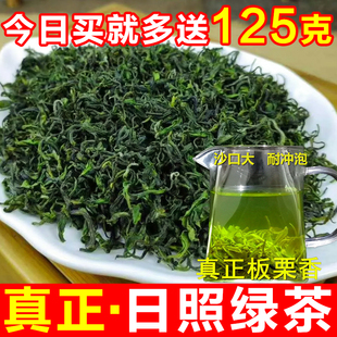 山东日照绿茶2024 新春茶叶板栗香豆香散装手工炒青耐泡500克浓香