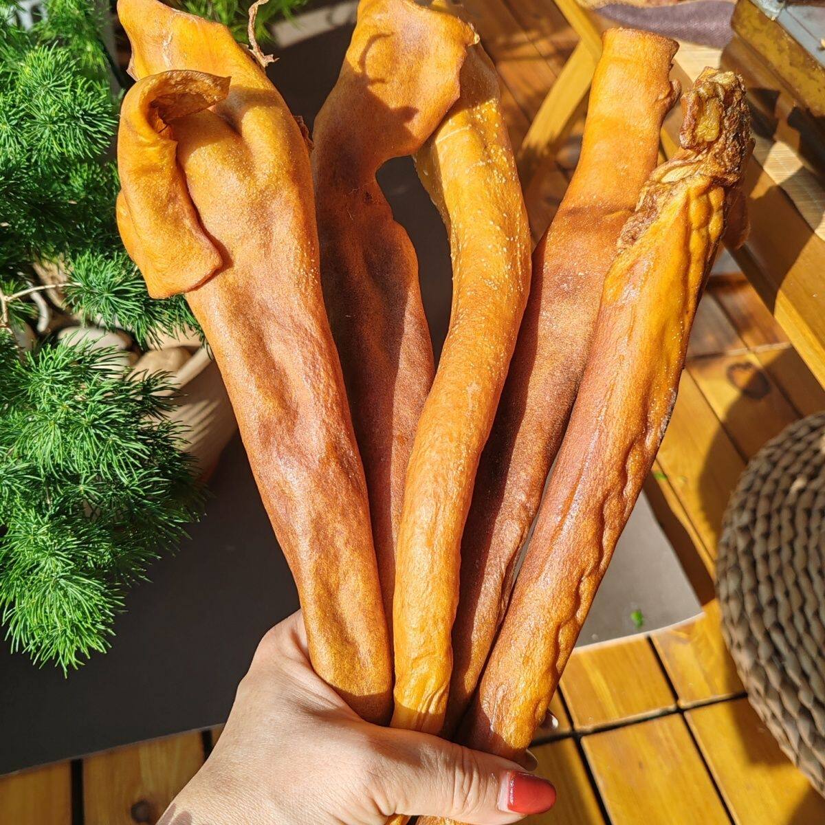 宠物狗狗磨牙棒风干整只大牛尾巴适合中大型犬