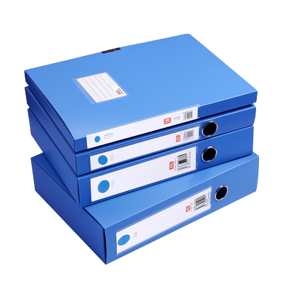 20个装真彩A4塑料档案