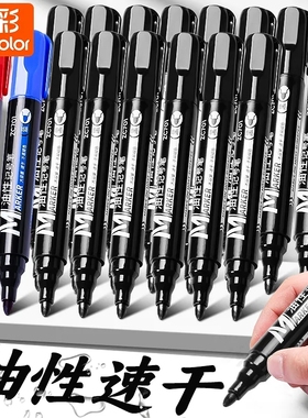 真彩记号笔黑色防水防油不掉色油性大头笔签字笔粗头工地马克笔勾线笔美术专用蓝色红色速干快递物流标记笔