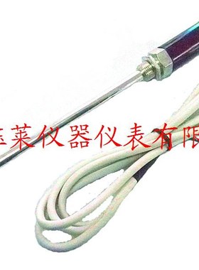 热电偶 温度传感器 温度探头PAT100 L=400mm 线2米