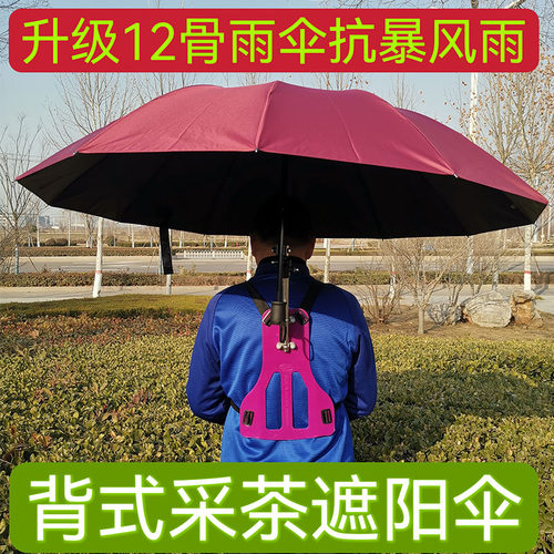 背式采茶伞可以背的雨伞防晒