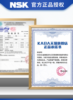 日本进口NSK轴承6300 6301 6302 6303 6304 6305ZZ DU VV RS高速