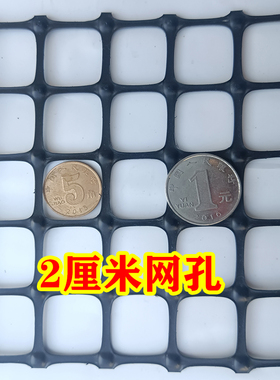 加厚塑料养殖漏粪床网水产养殖网鸡鸭鹅小孔隔离网小鸡小鸭围栏网