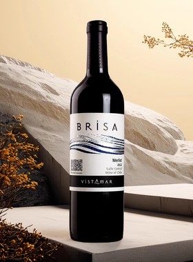 特价维斯特玛美乐/梅洛红葡萄酒 VistamarBrisa Merlot 750ml2019