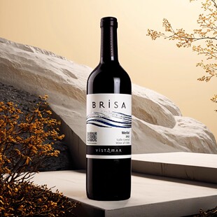 特价维斯特玛美乐/梅洛红葡萄酒 VistamarBrisa Merlot 750ml2019