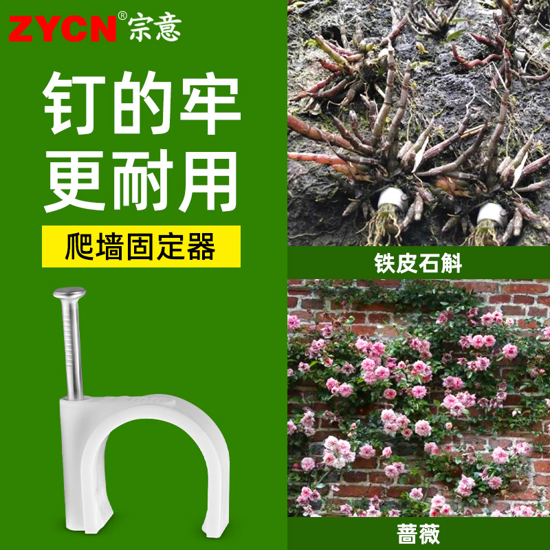 花枝固定器月季花墙墙上花卉绿植爬墙神器室外铁皮石斛墙扣卡扣钉 收纳整理 爬墙固定器 原图主图