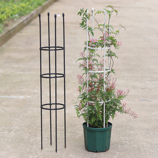 室内家用绿植铁艺攀爬架子植物阳台铁线莲花盆支架 花架爬藤架月季