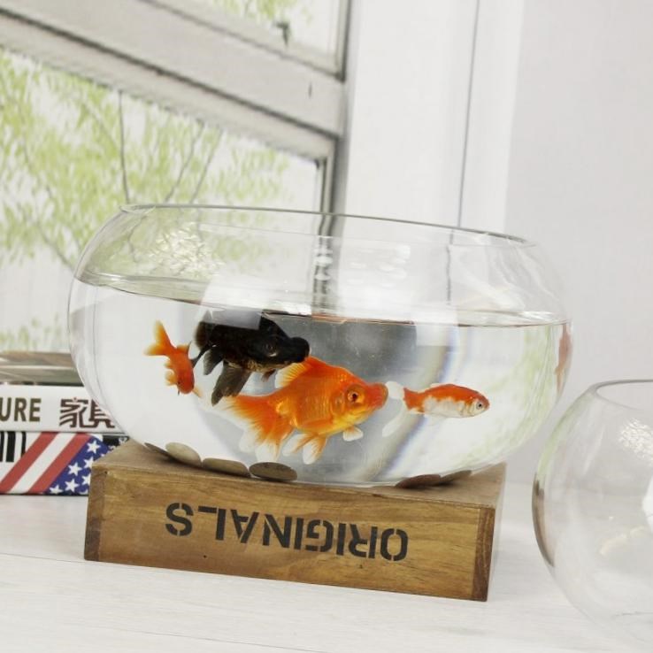 速发filh bowl vase gsa ble cultivatio cylider  ta