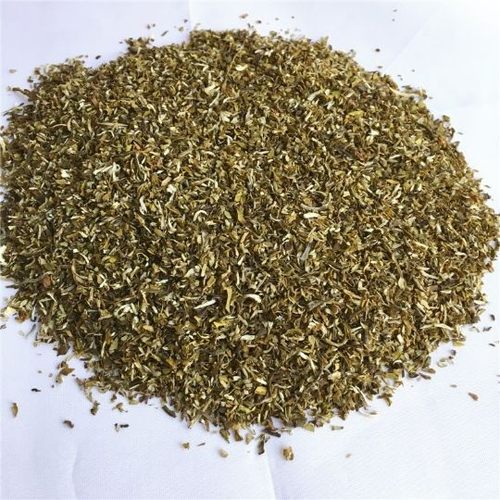 2025年茉莉花茶茉莉高碎