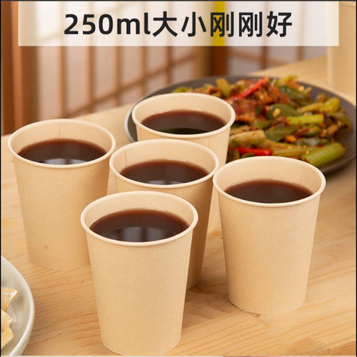 竹纤维本色纸杯100只一次性纸杯