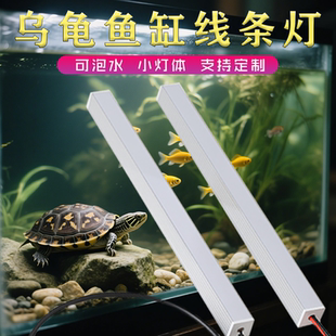 鱼缸灯LED灯乌龟灯防水小型节能照明灯迷你小夹灯水族周转箱