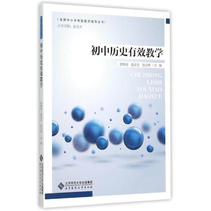 【正版书】 初中历史有效教学 张汉林 北京师范大学出版社