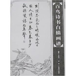 【正版书】 百鸟诗书白描画谱 黄高,吕维诚 著 广西美术出版社