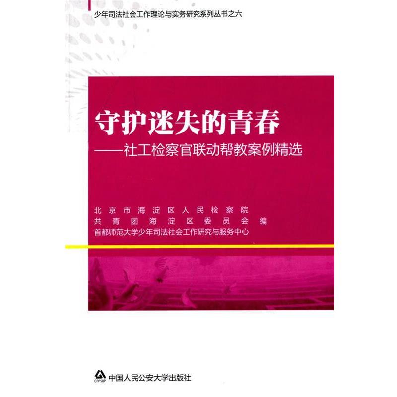【正版书】 守护迷失的青春-社工检察官联动案例精选 北京市海淀区人民检察院,共青团海淀区委员会　编 中国人民大学出版社