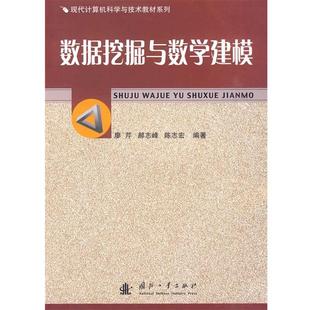 数据挖掘与教学建模 现代计算机科学与技术教材系列 廖芹 正版