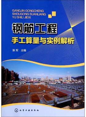 【正版书】 钢筋工程手工算量与实例解析 张军 化学工业出版社