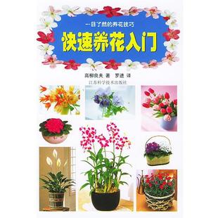 【正版书】 养花入门—一目了然的养花技巧 (日)高柳良夫,罗进 江苏科学技术出版社