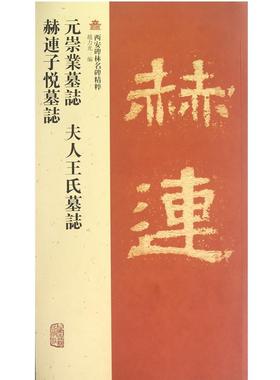 【正版】元崇业墓志 夫人王氏墓志 赫连子悦墓志 赵力光