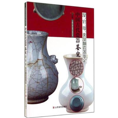 【正版书】 中国古代瓷器鉴定 汝，官，哥，类汝釉瓷器鉴定 姚江波 山东美术出版社