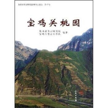 【正版书】 宝鸡关桃园 宝鸡市考古工作队,陕西省考古研究院 编 文物出版