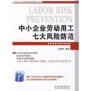 【正版】企业人力资源高级法律顾问丛书 中小企业劳动用工七大风险防范 胡燕林　编