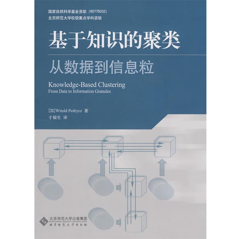 【正版】基于知识的聚类 从数据到信息粒 [加拿大]派垂驰（P