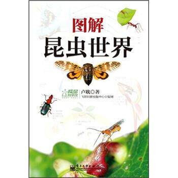 【正版书】 图解昆虫世界 卢耽 著 电子工业出版社