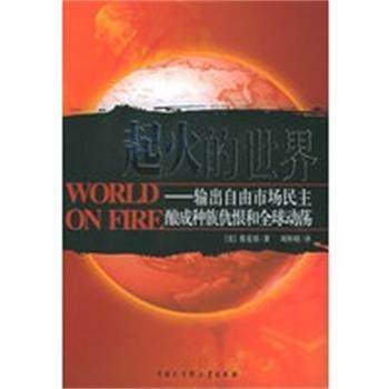 【正版】起火的世界 输出自由市场民主酿成种族仇恨和全球动荡 [美]蔡爱眉；刘怀昭