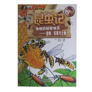 【正版书】 昆虫记:滑稽的秘密演员－壁蜂，芫菁与土蜂 (法)法布尔原著 天津科技翻译出版公司出版社