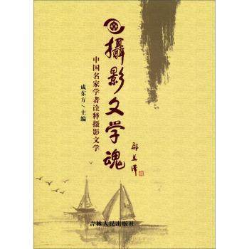【正版】摄影文学魂 中国名家学者诠释摄影文学 成东方