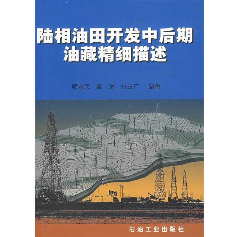 【正版书】 陆相油田开发中后期油藏精细描述 师永民　等编著 石油工业出版社